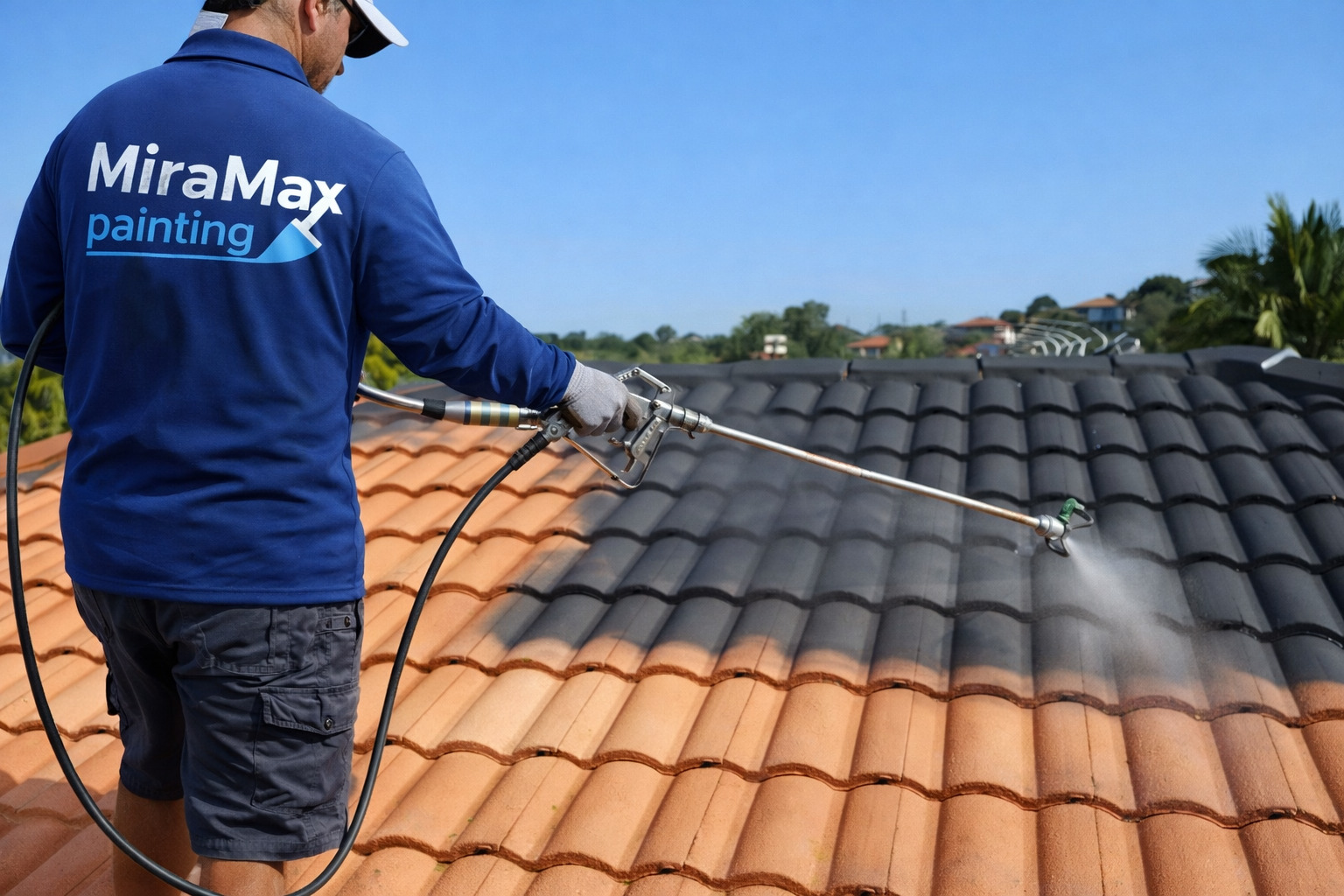 Roof Painting